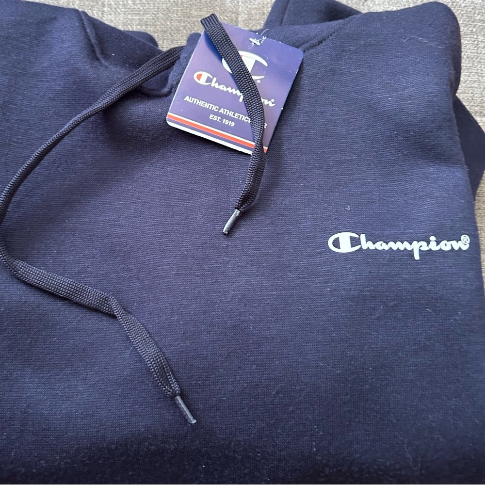 Champion light weight hoodie